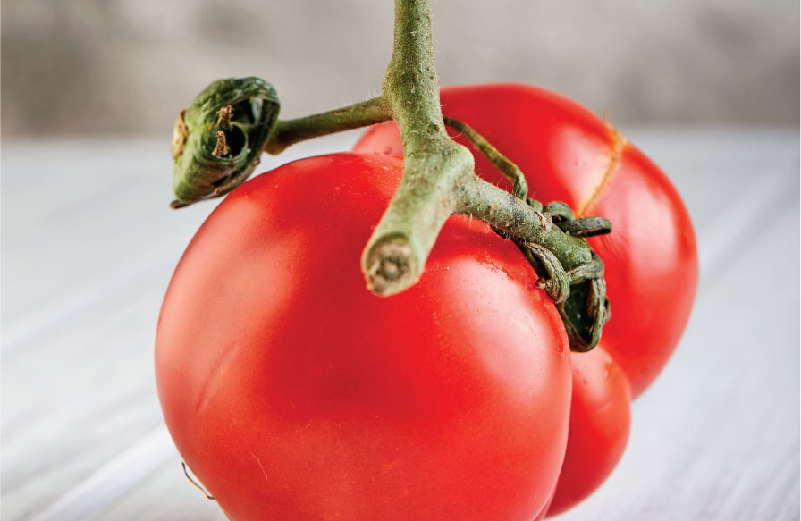 Immagine di un pomodoro